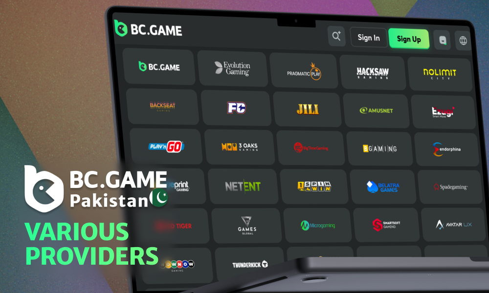 Providers of slots at BC Game for players from Pakistan