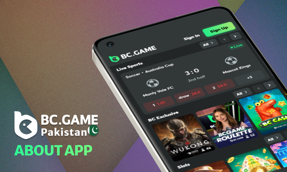 More information about the BC Game app