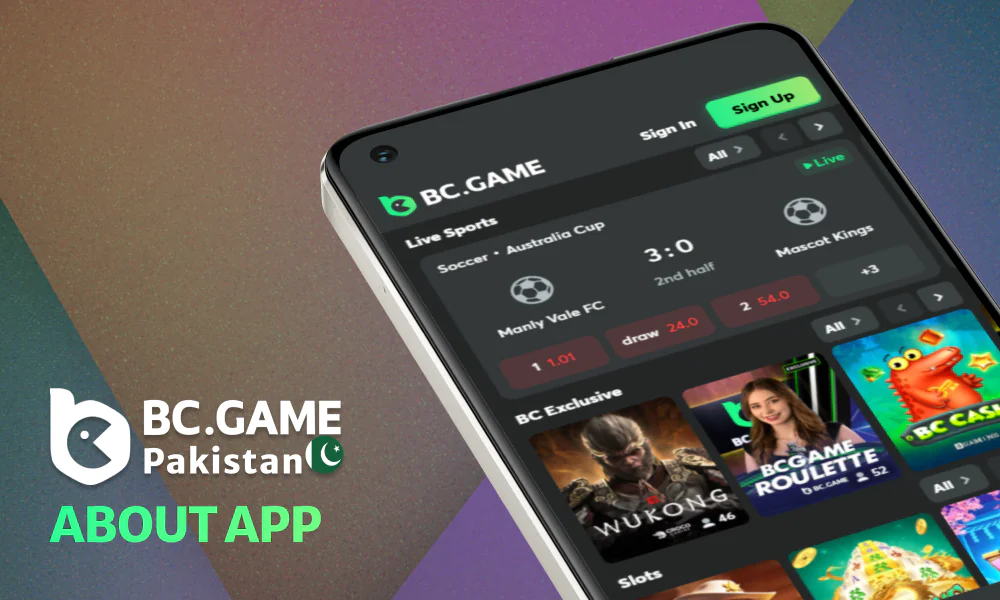 More information about the BC Game app